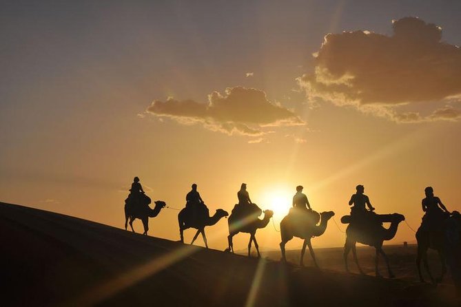 Camel Trek at Sunset